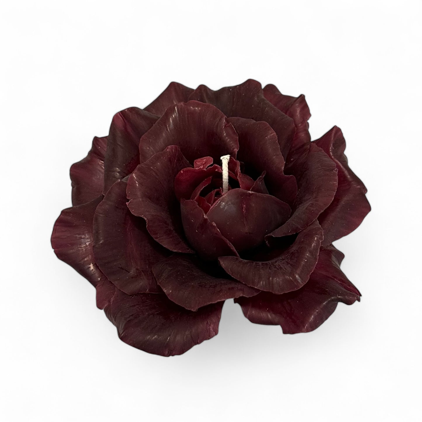 Dark Rose