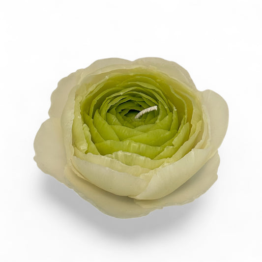 Ranunculus